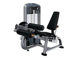 Precor Seated Leg Curl DSL0619 - Discovery Series