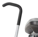 Hoist Triceps Extension RS-1103
